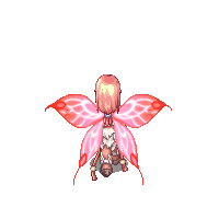 Asas da Borboleta do Vale Costas.gif