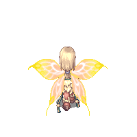 Asas Douradas da Borboleta Costas.gif