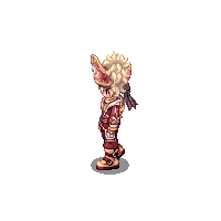 Chapéu da Realeza Pirata E.gif