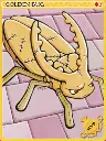 Carta Besouro-Ladrão Dourado.webp