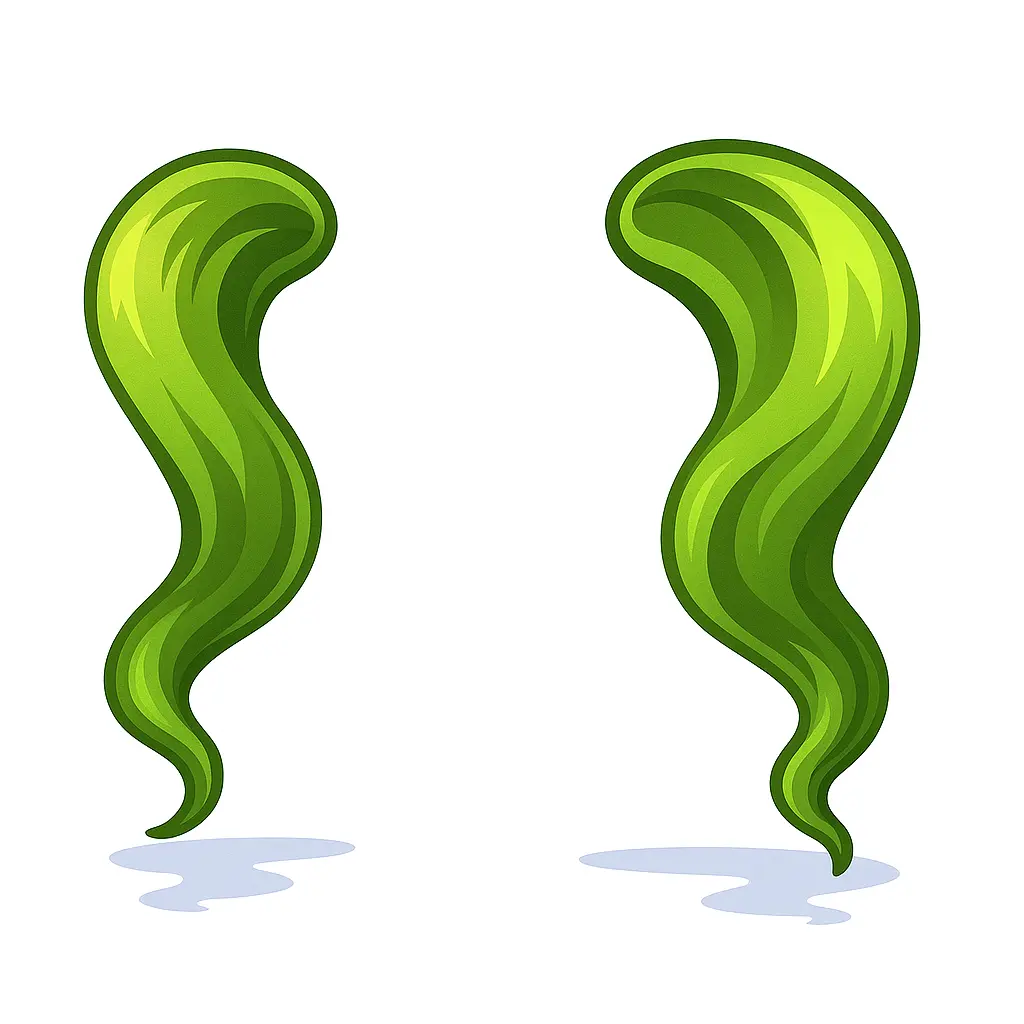 Maria-Chiquinha Verde