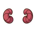 Pequeno Par de Chifres