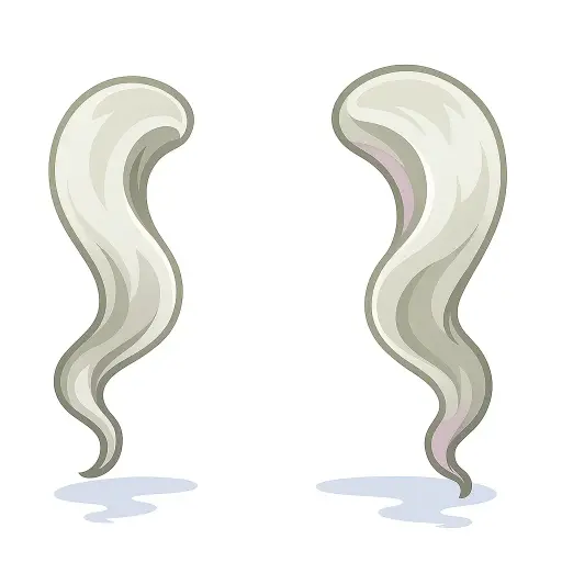 Maria-Chiquinha Branca